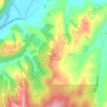 Pukemaori topographic map, elevation, terrain