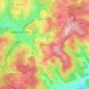 Wildberg topographic map, elevation, terrain