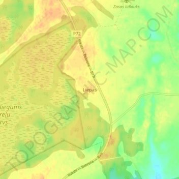Liepas topographic map, elevation, terrain
