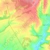 Forest topographic map, elevation, terrain