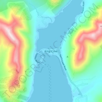 King Cove topographic map, elevation, terrain