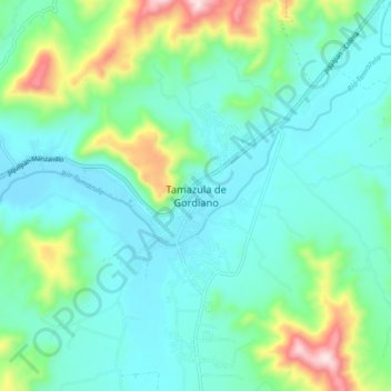 Tamazula de Gordiano topographic map, elevation, terrain