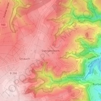Steckenborn topographic map, elevation, terrain