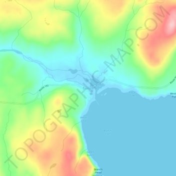 Branch topographic map, elevation, terrain