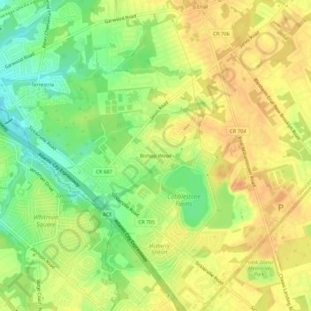 Bishop Wood topographic map, elevation, terrain