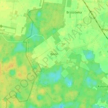 Borki topographic map, elevation, terrain