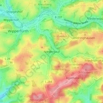 Niedergaul topographic map, elevation, terrain