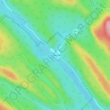 Coin-Lavigne topographic map, elevation, terrain