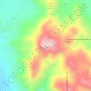 Cerro Gigante topographic map, elevation, terrain
