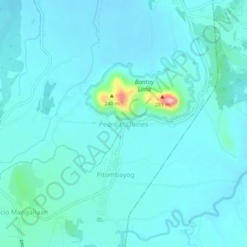 Pedro L. Quines topographic map, elevation, terrain