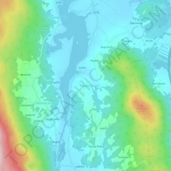 Ribarići topographic map, elevation, terrain