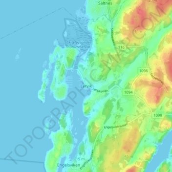 Lervik topographic map, elevation, terrain