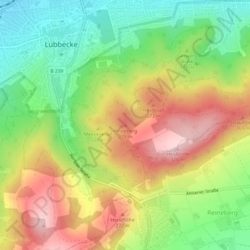 Reineberg topographic map, elevation, terrain