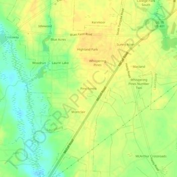 Pine Forest topographic map, elevation, terrain