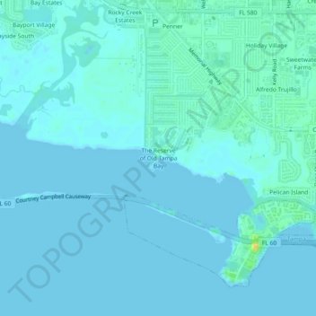 The Reserve of Old Tampa Bay topographic map, elevation, terrain