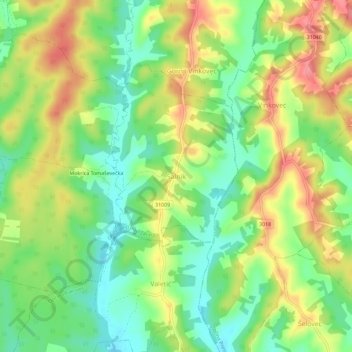 Salnik topographic map, elevation, terrain
