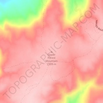 Upper Forest Mountain topographic map, elevation, terrain