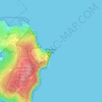 Blue Fish Point topographic map, elevation, terrain